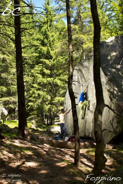 Ale in "Il segreto della guida"